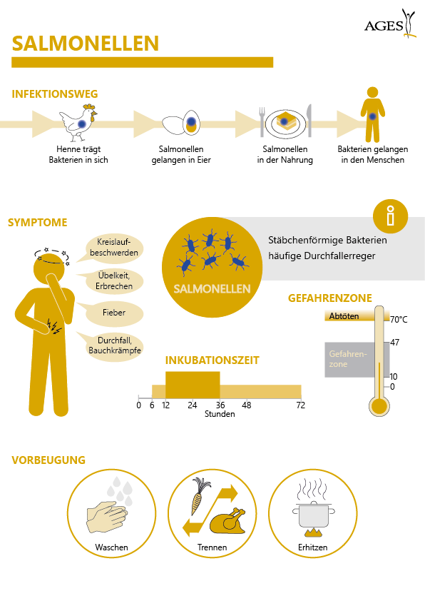 Infografik