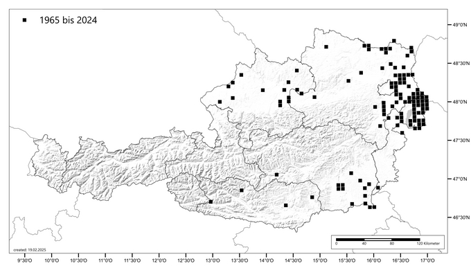 Figure Distribution of datura in Austrian fields (Enlarges Image in Dialog Window)