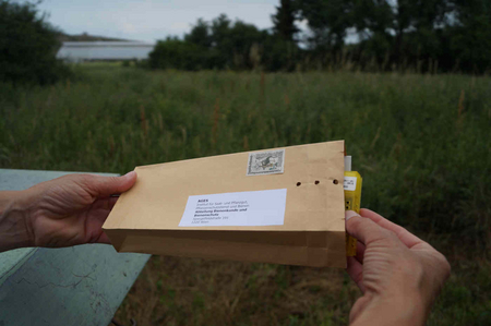 Five cages with live bees are sent by mail to AGES - Department of Apiology and Bee Protection. (Enlarges Image in Dialog Window)