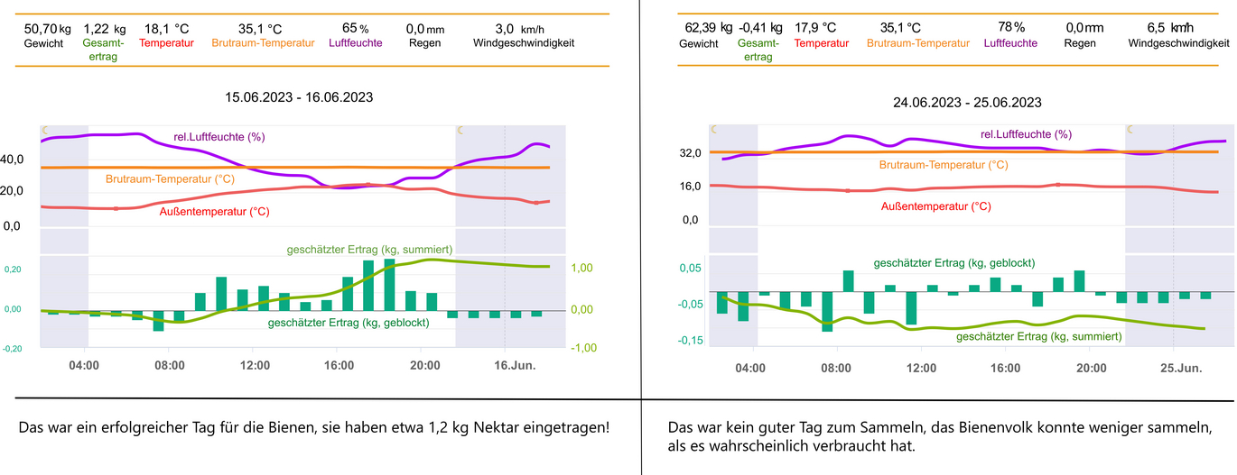 Diagramm Vergleich Gewicht: links: Kurve geht nach oben - ein guter Tag für die Bienen, sie haben ca. 1,2 kg Nektar eingetragen. rechts. Kurve geht nach unten - kein guter Tag zum Sammeln, das Bienenvolk hat weniger sammeln können als es wahrscheinlich verbraucht hat.