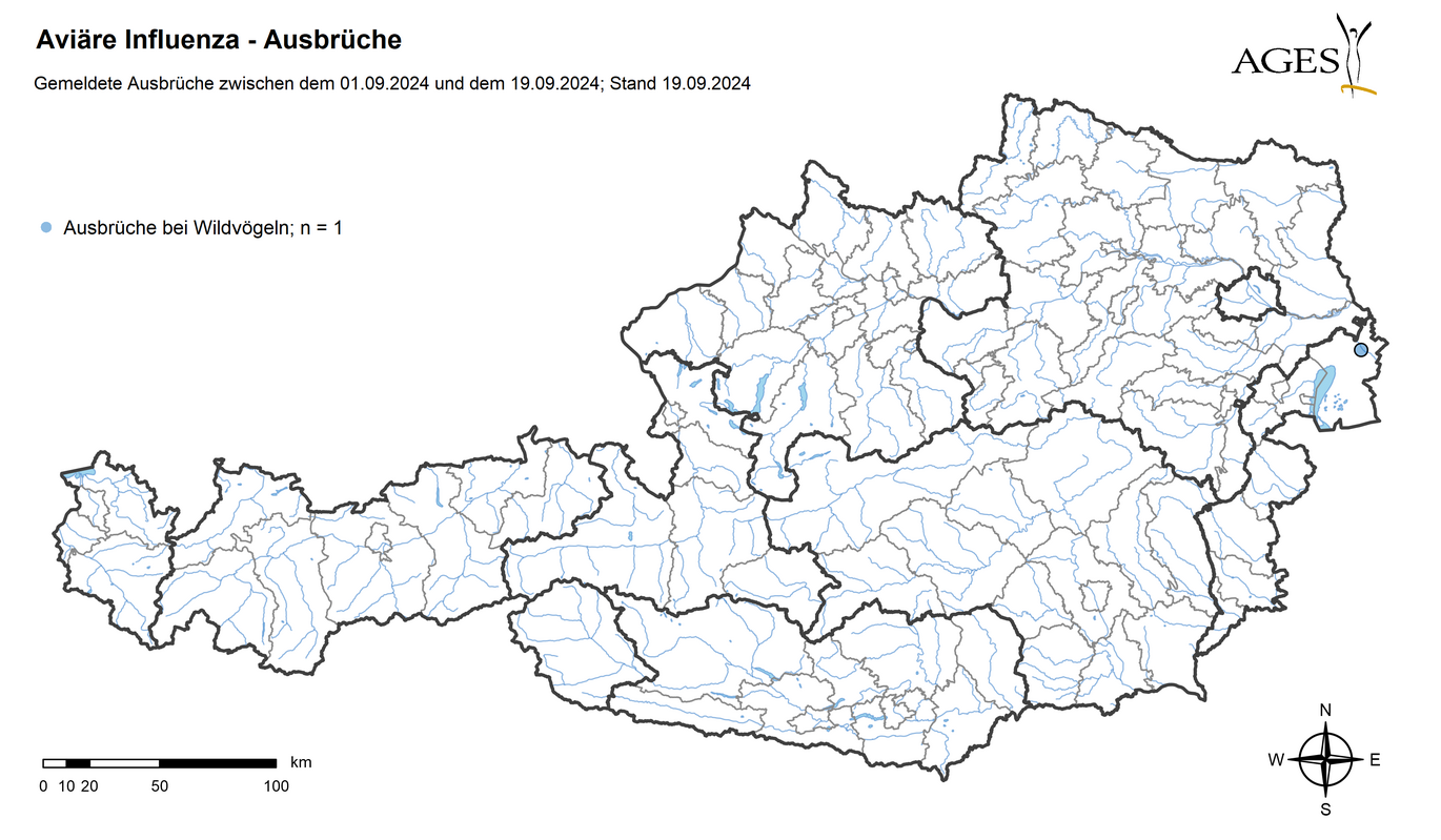 HPAI-Ausbrüche seit September 2024 (Vergrößert das Bild in einem Dialog Fenster)