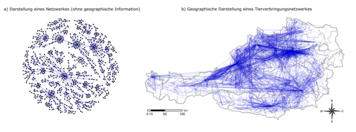 graphical representation total shipment analyses (Enlarges Image in Dialog Window)