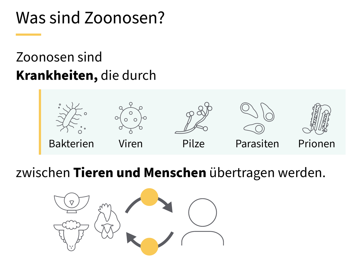 Grafische Darstellung von Erregern und Übertragungswegen 