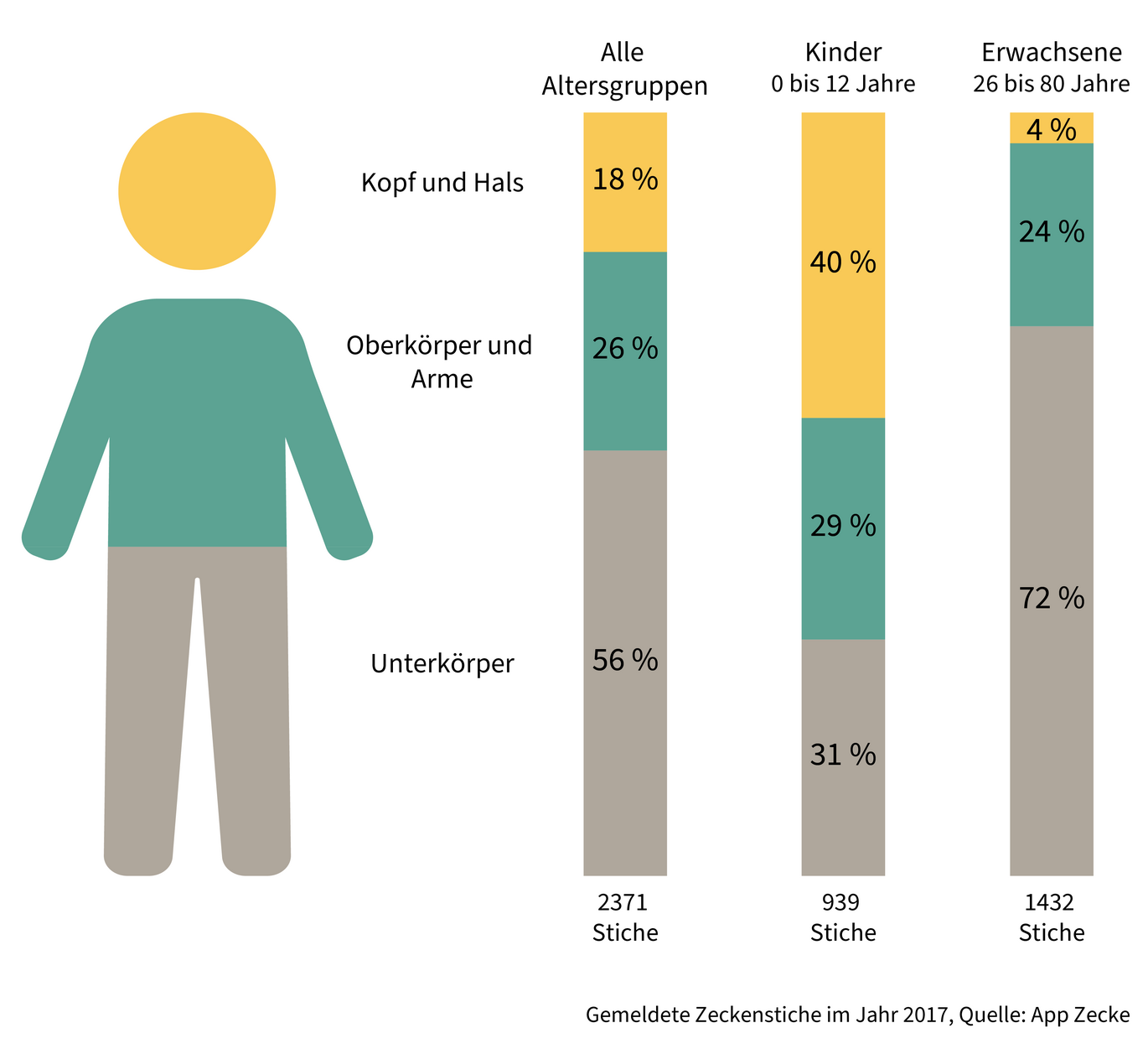 Gemeldete Zeckenstiche an unterschiedlichen Körperstellen. Alle Altersgruppen: Kopf und Hals: 18%, Oberkörper und Arme: 26%, Unterkörper: 56%; Kinder (0-12 Jahre): Kopf und Hals: 40%, Oberkörper und Arme: 29%, Unterkörper: 31%; Erwachsene (26-80 Jahre): Kopf und Hals: 4%, Oberkörper und Arme: 24%, Unterkörper: 72% (Vergrößert das Bild in einem Dialog Fenster)