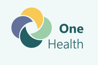 Icon One Health