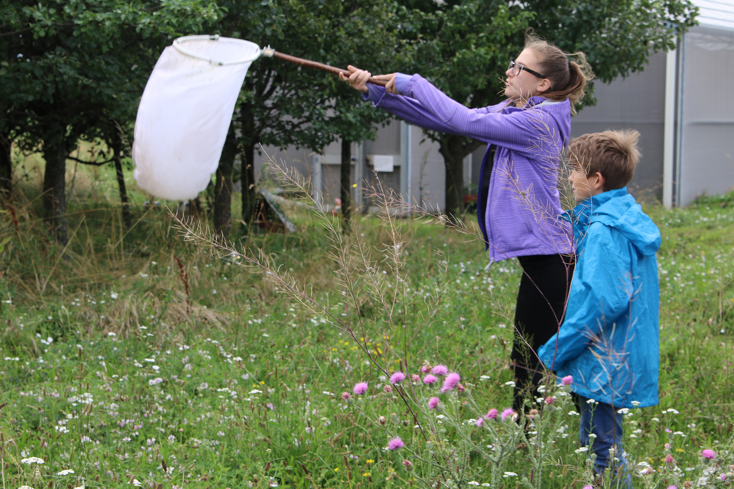 Kinder in der Wiese