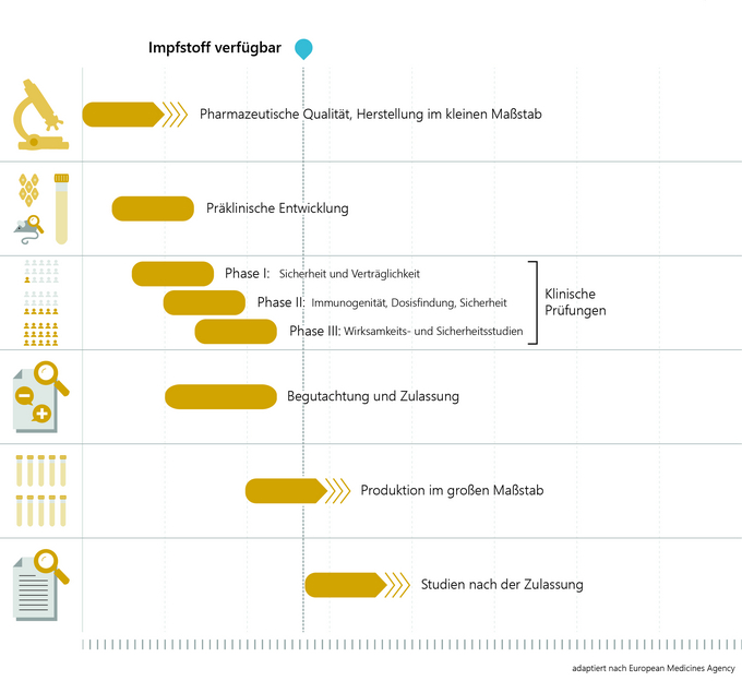 Flowchart of the accelerated development and authorisation of vaccines (Enlarges Image in Dialog Window)