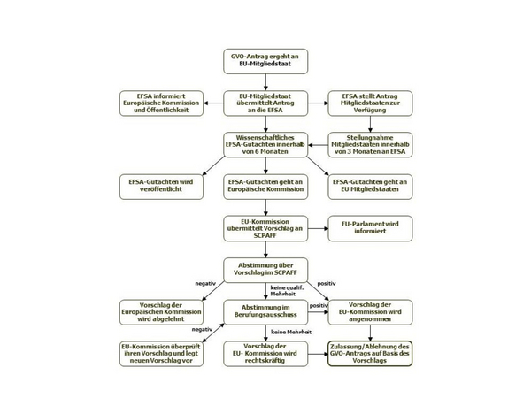 Procedure for GMO approval in the EU (Enlarges Image in Dialog Window)