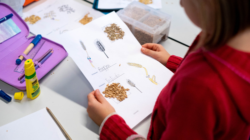 Child with learning materials