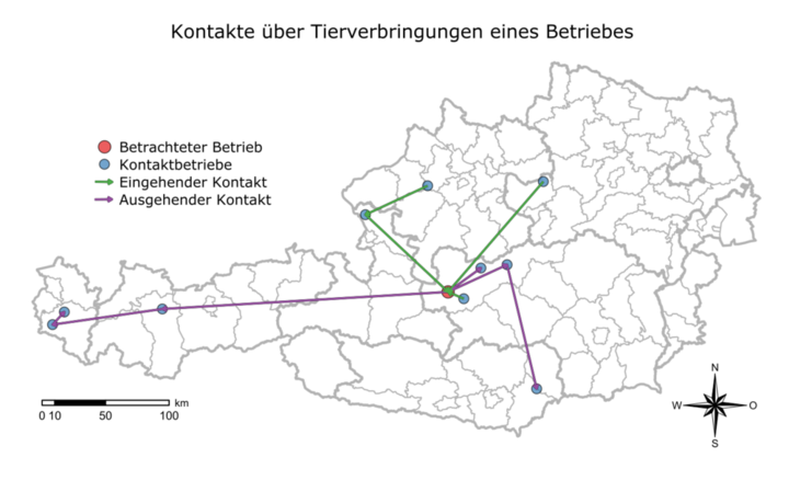 grafische Darstellung Einzelverbringungsanalysen (Vergrößert das Bild in einem Dialog Fenster)