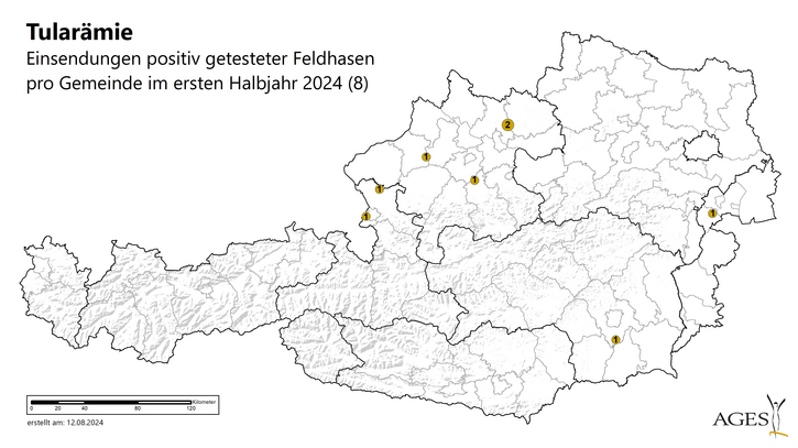 Karte Österreich: Fundorte der 8 Hasen, die im 1. Halbjahr 2024 positiv auf Tularämie getestet wurden