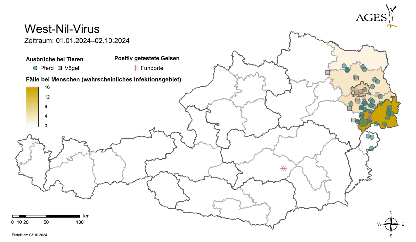 Farbige Flächen: Wahrscheinliche Infektionsgebiete (NUTS 3-Region) in Österreich von West-Nil-Fieber-Fällen (n=34). Nicht enthalten sind wahrscheinlich im Ausland erworbene Infektionen (n=2). Punkte: West-Nil-Virus-Ausbrüche bei Tieren 2024 Sterne: West-Nil-Virus-Nahweise bei Gelsen (Vergrößert das Bild in einem Dialog Fenster)