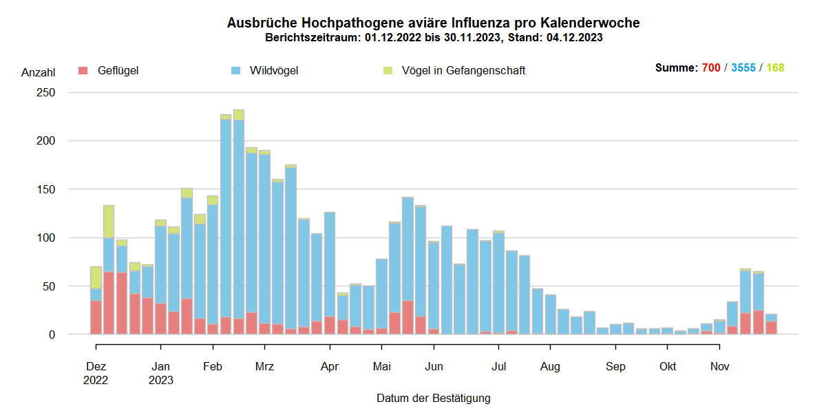 Verlaufsgrafik zu HPAI-Ausbrüchen in Europa: mit Beginn der HPAI-Saison 2022/2023 steigen im Oktober 2022 die Ausbruchszahlen an. Vermehrt sind auch Geflügelbestände und Vögel in Gefangenschaft in Europa betroffen. Im Frühjahr 2023 steigen die Ausbruchszahlen bei Wildvögeln bis April weiter stark an, während Geflügel und Vögel in Gefangenschaft nur noch selten betroffen sind. In den Sommermonaten 2023 kommt es aufgrund von Massenstreben in Brutkolonien von Seevögeln (Lachmöwen und Flussseeschwalben) zu einem erneuten starken Anstieg der Ausbrüche bei Wildvögeln. Bis zum September 2023 sinkt die Zahl dieser Ausbrüche auf wenige Meldungen, bei Geflügel und Vögeln in Gefangenschaft kommt das Seuchengeschehen fast gänzlich zum Erliegen. Ab Oktober 2023 steigen die Ausbruchszahlen wieder an, besonders bei Wildvögeln.