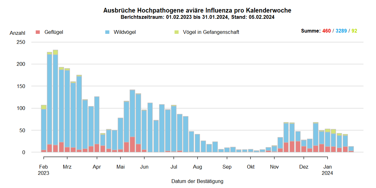 Verlaufsgrafik zu HPAI-Ausbrüchen in Europa: mit Beginn der HPAI-Saison 2022/2023 steigen im Oktober 2022 die Ausbruchszahlen an. Vermehrt sind auch Geflügelbestände und Vögel in Gefangenschaft in Europa betroffen. Im Frühjahr 2023 steigen die Ausbruchszahlen bei Wildvögeln bis April weiter stark an, während Geflügel und Vögel in Gefangenschaft nur noch selten betroffen sind. In den Sommermonaten 2023 kommt es aufgrund von Massenstreben in Brutkolonien von Seevögeln (Lachmöwen und Flussseeschwalben) zu einem erneuten starken Anstieg der Ausbrüche bei Wildvögeln. Bis zum September 2023 sinkt die Zahl dieser Ausbrüche auf wenige Meldungen, bei Geflügel und Vögeln in Gefangenschaft kommt das Seuchengeschehen fast gänzlich zum Erliegen. Ab Oktober 2023 steigen die Ausbruchszahlen wieder an, besonders bei Wildvögeln.