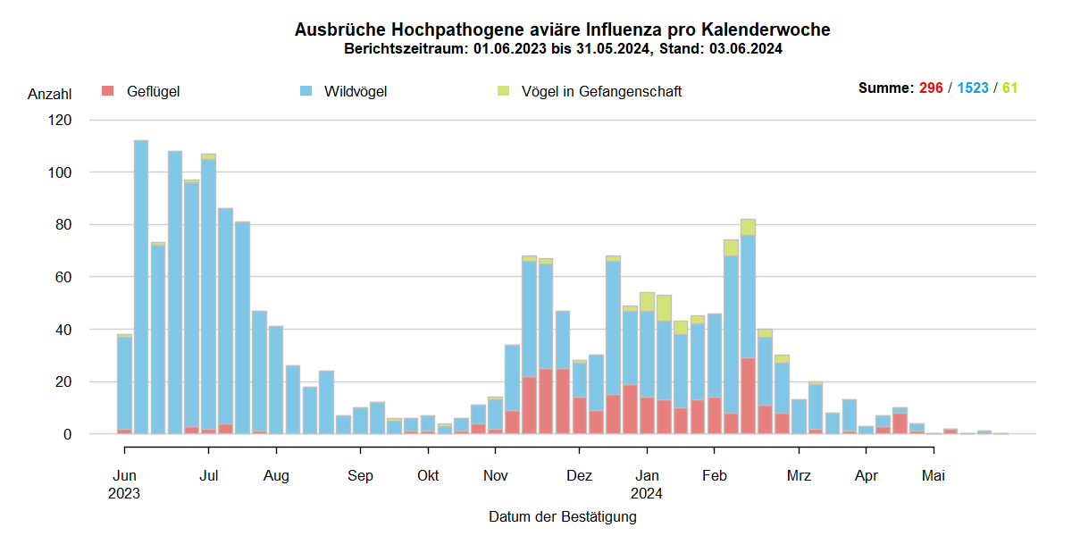 Verlaufsgrafik zu HPAI-Ausbrüchen in Europa: mit Beginn der HPAI-Saison 2022/2023 steigen im Oktober 2022 die Ausbruchszahlen an. Vermehrt sind auch Geflügelbestände und Vögel in Gefangenschaft in Europa betroffen. Im Frühjahr 2023 steigen die Ausbruchszahlen bei Wildvögeln bis April weiter stark an, während Geflügel und Vögel in Gefangenschaft nur noch selten betroffen sind. In den Sommermonaten 2023 kommt es aufgrund von Massenstreben in Brutkolonien von Seevögeln (Lachmöwen und Flussseeschwalben) zu einem erneuten starken Anstieg der Ausbrüche bei Wildvögeln. Bis zum September 2023 sinkt die Zahl dieser Ausbrüche auf wenige Meldungen, bei Geflügel und Vögeln in Gefangenschaft kommt das Seuchengeschehen fast gänzlich zum Erliegen. Ab Oktober 2023 steigen die Ausbruchszahlen wieder an, besonders bei Wildvögeln.