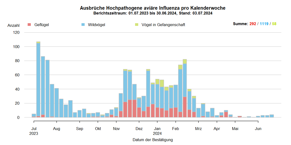 Verlaufsgrafik zu HPAI-Ausbrüchen in Europa: mit Beginn der HPAI-Saison 2022/2023 steigen im Oktober 2022 die Ausbruchszahlen an. Vermehrt sind auch Geflügelbestände und Vögel in Gefangenschaft in Europa betroffen. Im Frühjahr 2023 steigen die Ausbruchszahlen bei Wildvögeln bis April weiter stark an, während Geflügel und Vögel in Gefangenschaft nur noch selten betroffen sind. In den Sommermonaten 2023 kommt es aufgrund von Massenstreben in Brutkolonien von Seevögeln (Lachmöwen und Flussseeschwalben) zu einem erneuten starken Anstieg der Ausbrüche bei Wildvögeln. Bis zum September 2023 sinkt die Zahl dieser Ausbrüche auf wenige Meldungen, bei Geflügel und Vögeln in Gefangenschaft kommt das Seuchengeschehen fast gänzlich zum Erliegen. Ab Oktober 2023 steigen die Ausbruchszahlen wieder an, besonders bei Wildvögeln.